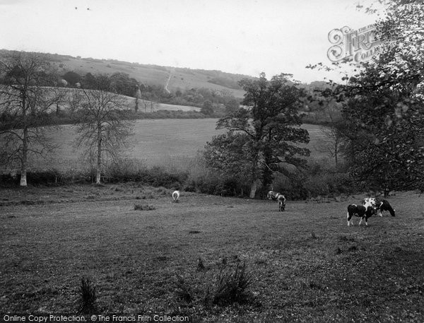 Photo of Gomshall, The Hills 1925