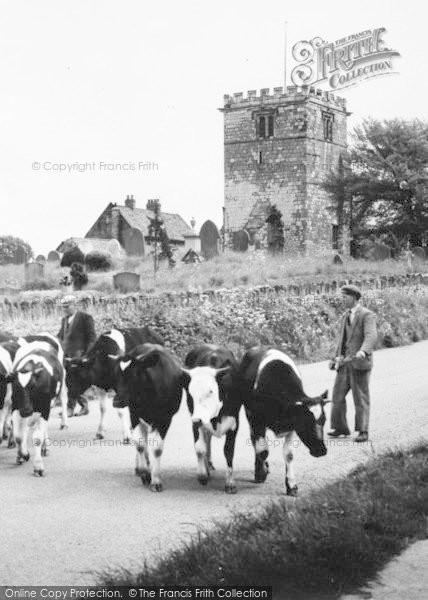 Photo of Goodmanham, Milking Time c.1965