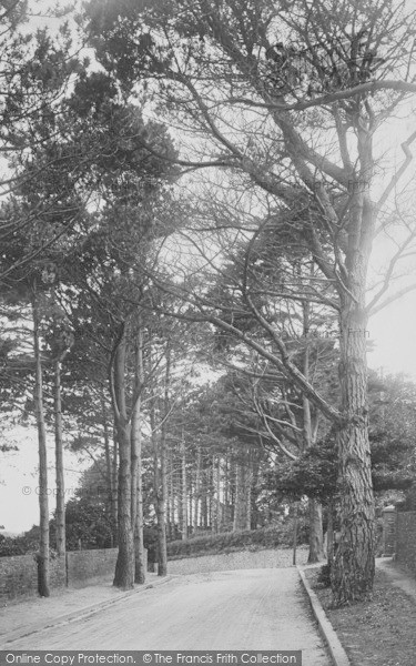 Photo of Goodrington, Firs 1922