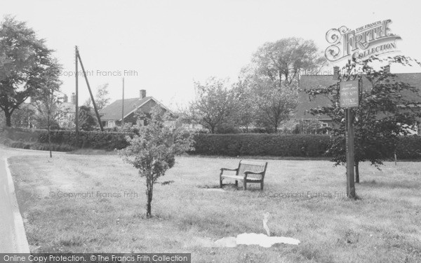 Photo of Goostrey, The Bog Bean c.1965