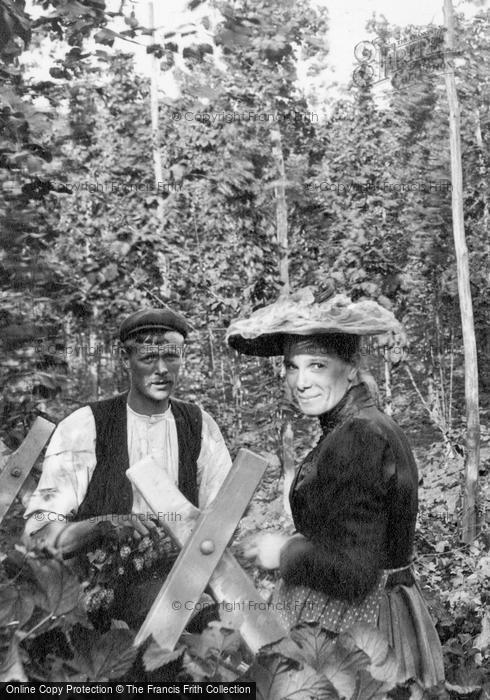 Photo of Goudhurst, A Couple Hop Picking 1904