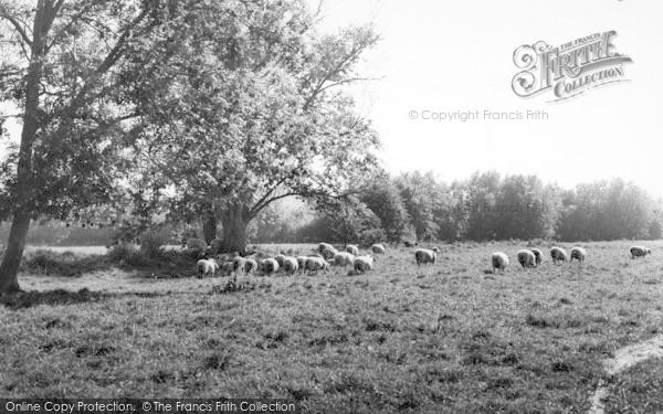 Photo of Goudhurst, General View c.1960