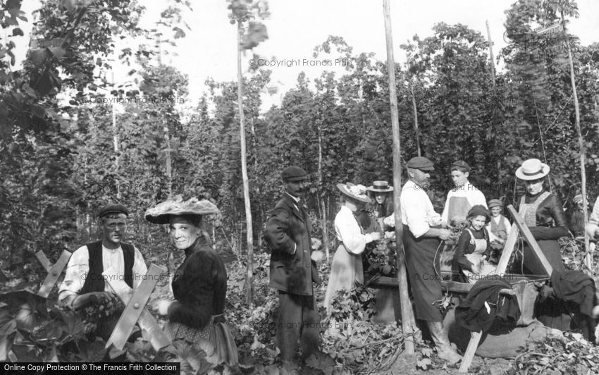 Goudhurst, Hop Pickers 1904