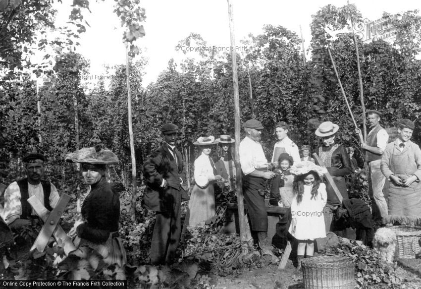 Goudhurst, Hop Pickers 1904