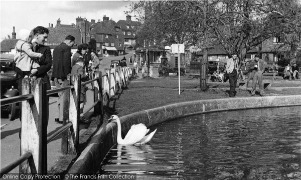 Photo of Goudhurst, The Pond c.1955