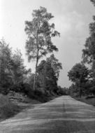 c.1960, Graffham