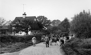 Norwood Lane c.1955, Graffham