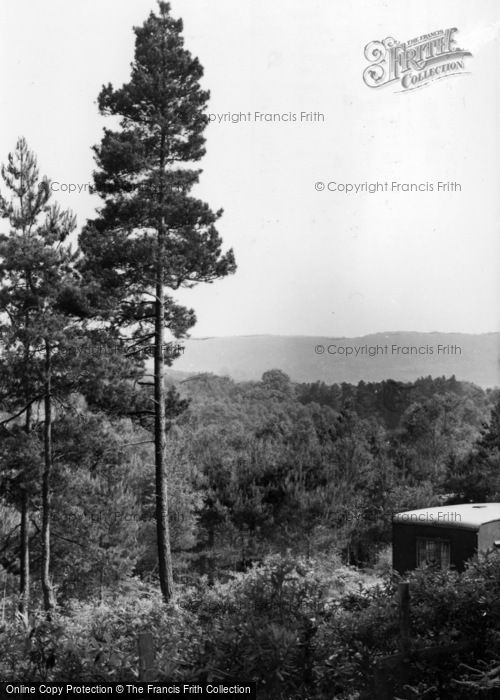 Photo of Graffham, The Downs c.1960
