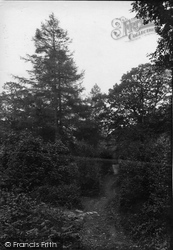 Grange-Over-Sands, Eggerslack Woods 1912, Grange-Over-Sands