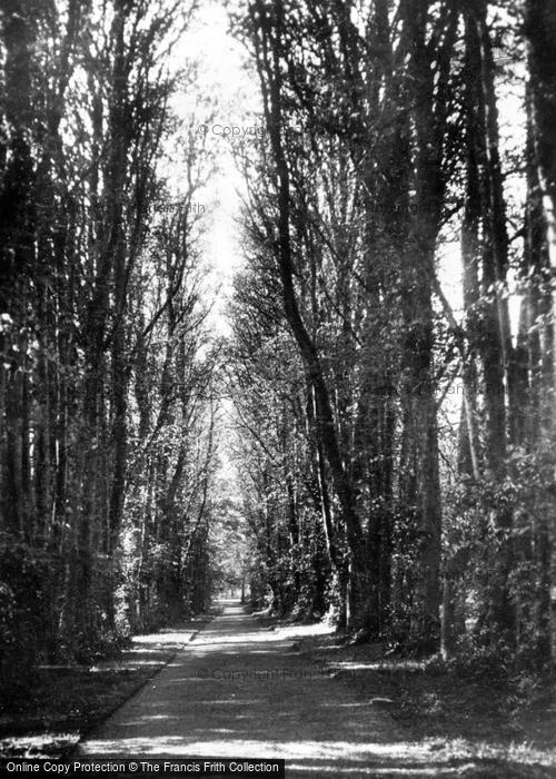 Photo of Grantown On Spey, Castle Grant, Lime Tree Walk c.1914