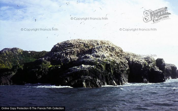 Photo of Grassholm, The Island 1985