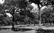 Grays, Hangmans Wood c1955