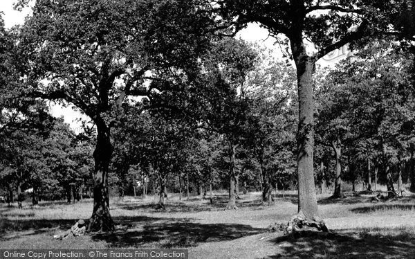 Photo of Grays, Hangmans Wood c1955