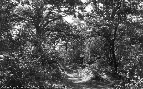Photo of Grays, Hangmans Wood, Socketts Heath c.1955