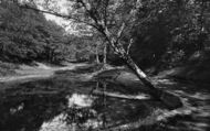 Golden Valley, Woodcock Bottom 1934, Grayshott