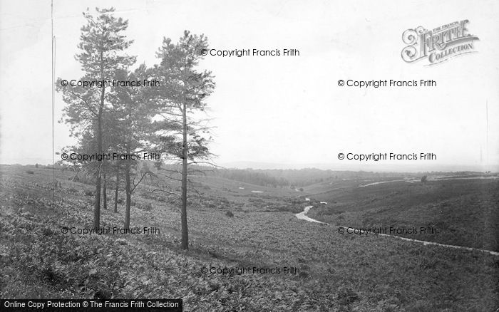 Photo of Grayshott, Ludshott Common 1917