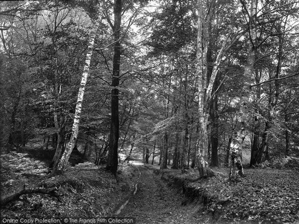 Photo of Grayshott, Pathway To Waggoners Wells 1928