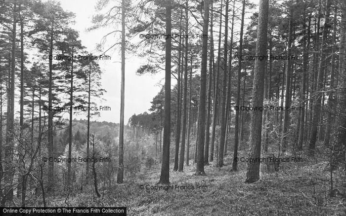 Photo of Grayshott, The Pines 1930