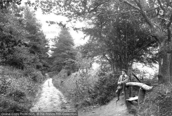 Photo of Grayshott, Waggoners Wells Lane 1907