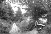 Waggoners Wells Lane 1907, Grayshott