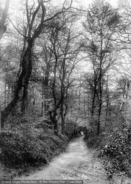 Photo of Grayshott, Waggoners Wells Lane 1911