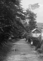 Whitmore Vale Road 1917, Grayshott