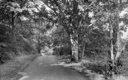 The Mount 1928, Grayswood