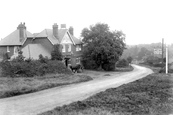 The Wheatsheaf 1909, Grayswood