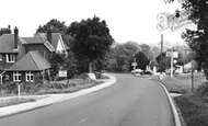 Grayswood photo