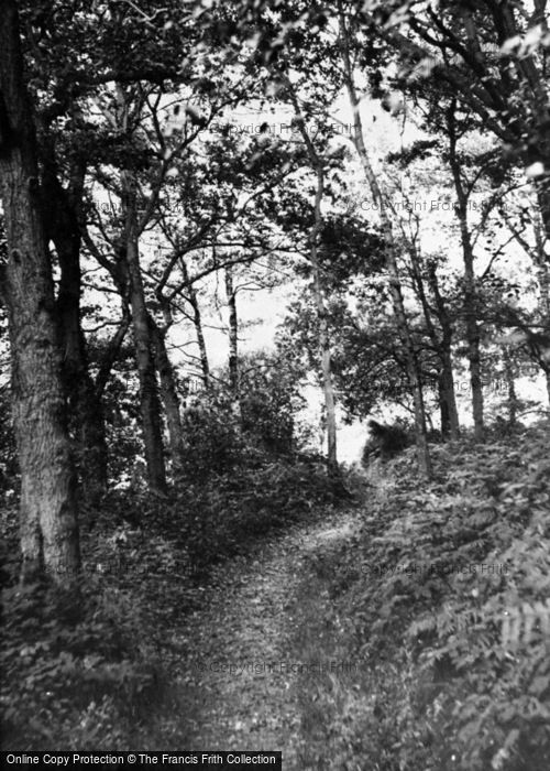 Photo of Grayswood, The Woods c.1955