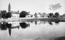 The Pond 1898, Great Bentley