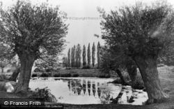 Bayfield Pond 1927, Great Bookham