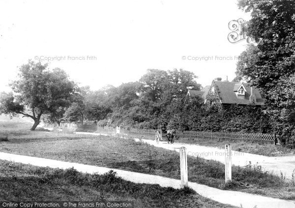 Photo of Great Bookham, Common 1904