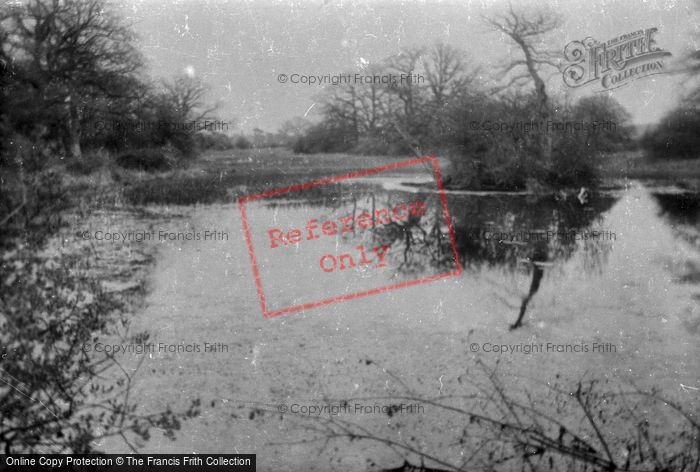 Photo of Great Bookham, Fish Pond 1922