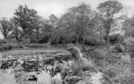 Fish Ponds 1927, Great Bookham