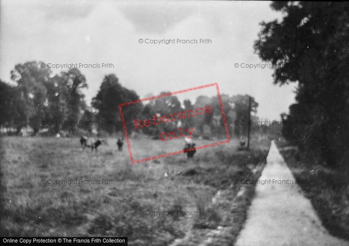 Photo of Great Bookham, Station Path 1924