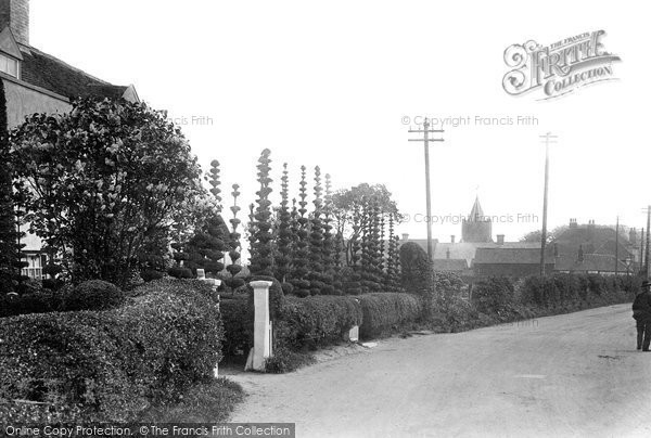 Photo of Great Clacton, The Yew Trees 1913