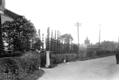 The Yew Trees 1913, Great Clacton