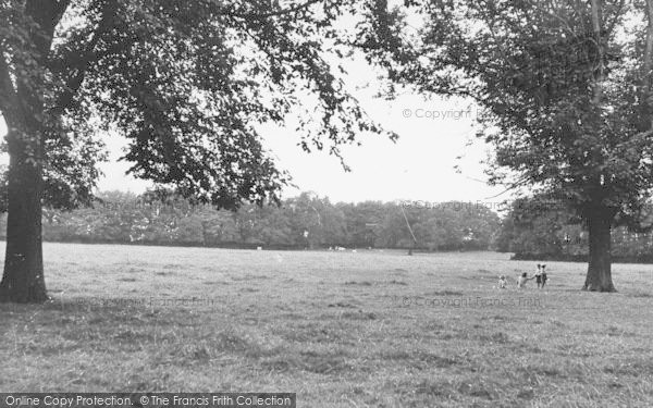 Photo of Great Driffield, The Park c.1955