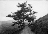 A Walk On The Hills 1923, Great Malvern