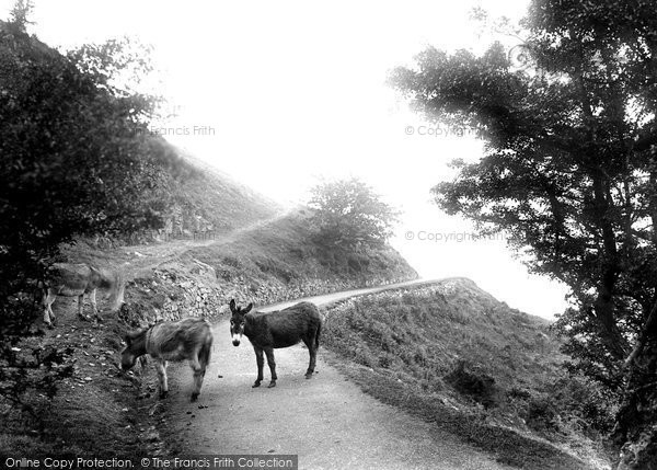Photo of Great Malvern, View Near Ivy Scar Rock 1923