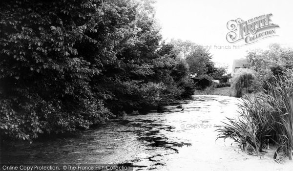Photo of Great Wakering, The Village Pond c.1965