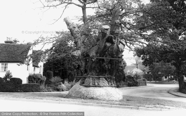 Photo of Great Yeldham, The Old Oak c.1960