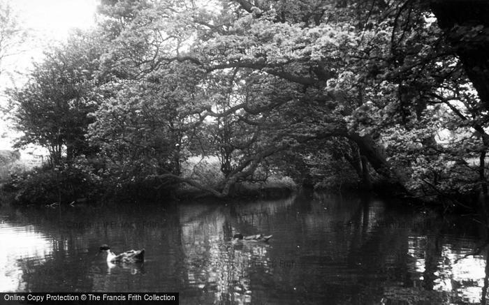 Photo of Gristhorpe, The Duck Pond c.1960