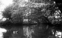 The Duck Pond c.1960, Gristhorpe