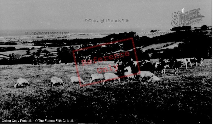 Photo of Gronant, General View c.1965