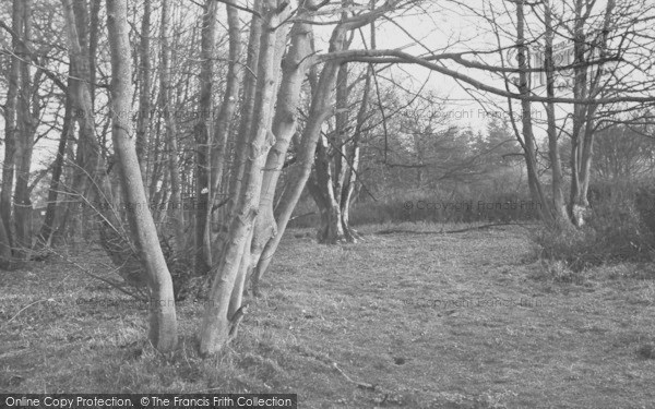 Photo of Gronant, The Woods c.1935