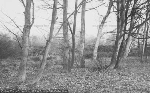 Photo of Gronant, The Woods c.1935