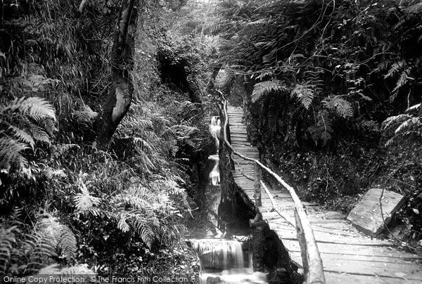 Photo of Groudle Glen, The Rustic Path 1894
