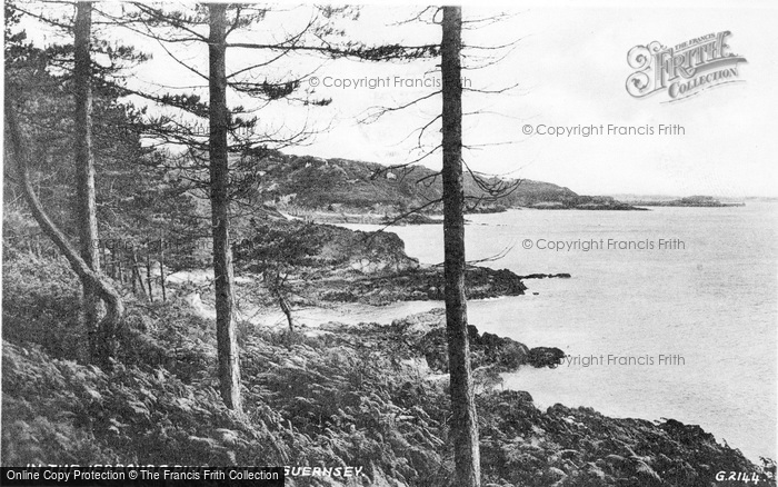 Photo of Guernsey, In The Jerbourg Pine Forest 1934